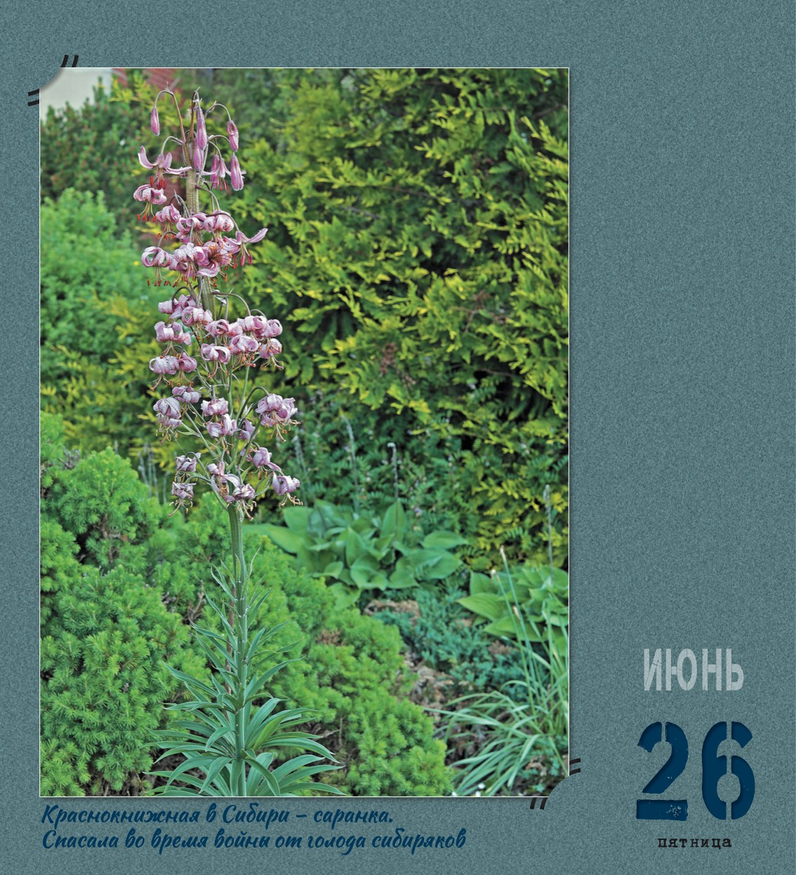 kalendar_2026-179.jpg