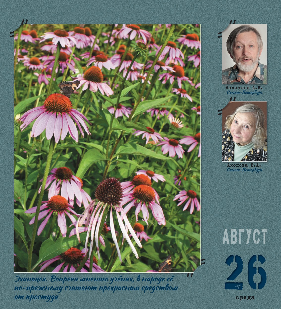 kalendar_2026-240.jpg