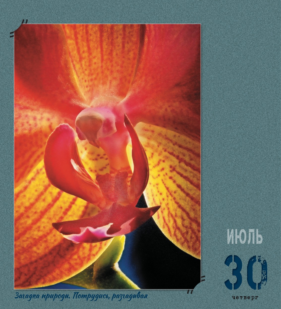 kalendar_2026-213.jpg