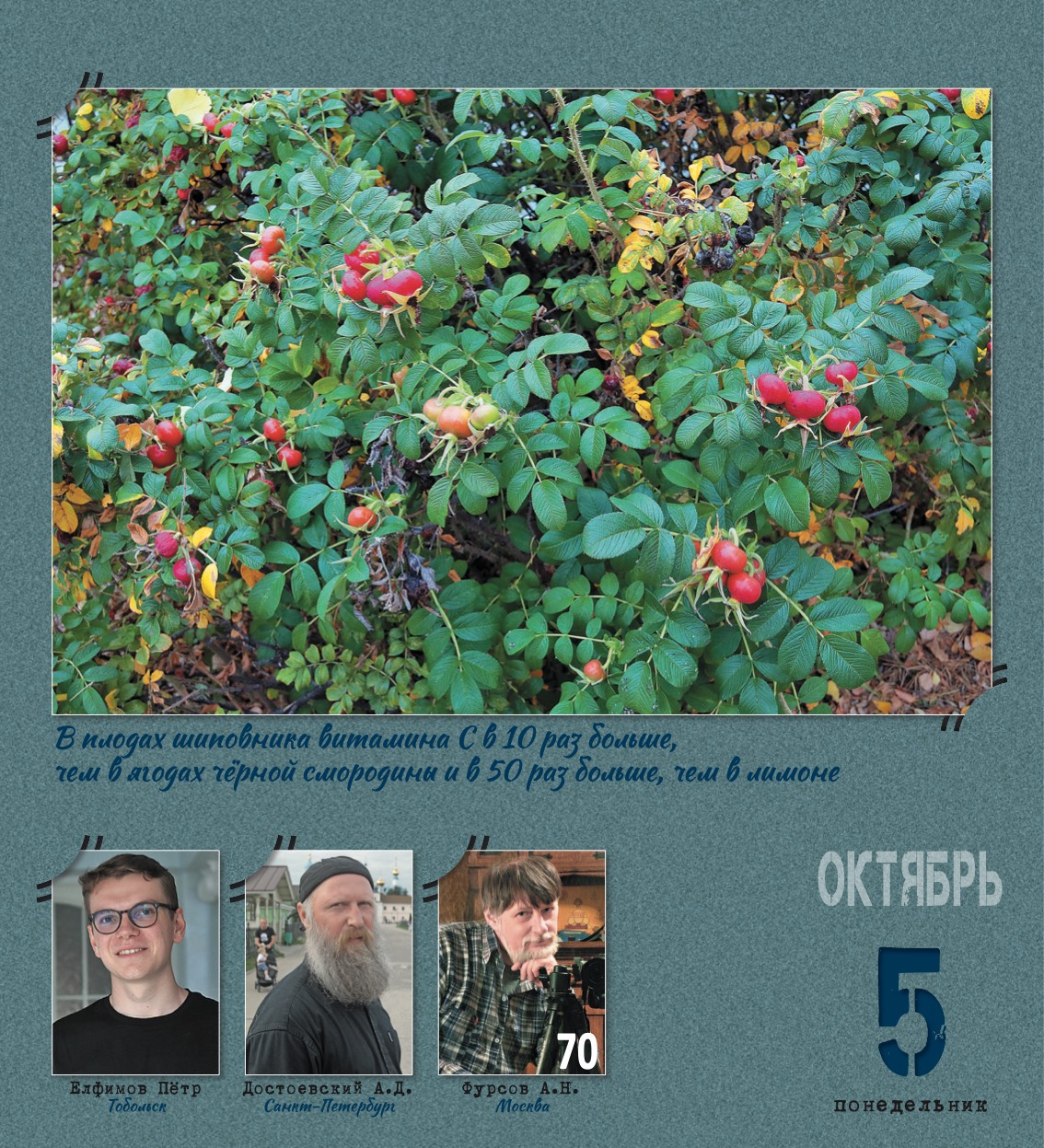 kalendar_2026-280.jpg